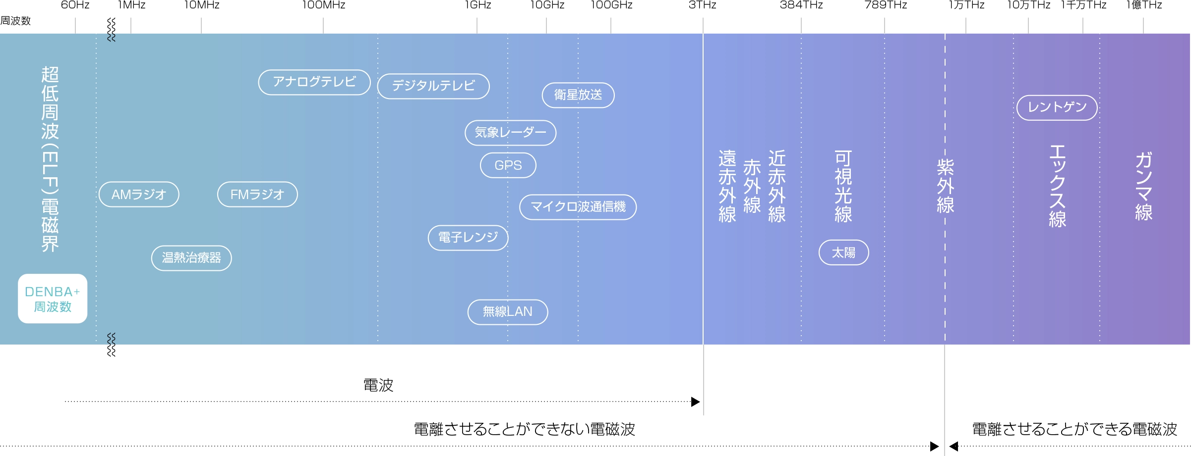 DENBAの高い安全性を説明する画像